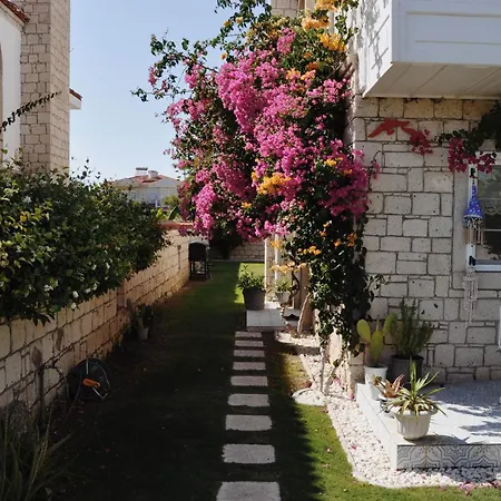 Muejde Alacati * Çeşme